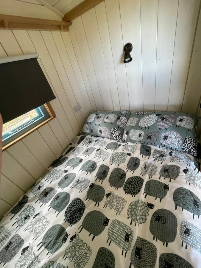 Appartement The Shepards Hut à Llwyn-Dafydd Extérieur photo